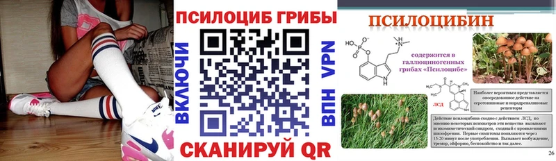 Галлюциногенные грибы Psilocybine cubensis  Купить где  Домодедово 
